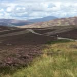 Claire - @clairemccaul50 - Instagram