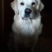 Claire Devitt - Facebook