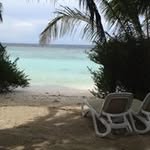 Claire McWilliams - @clairemcwilliams - Instagram