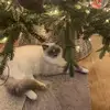 Claire Middleton - @claire.middleton82 - TikTok