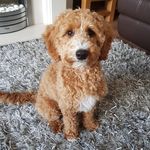 Claire Pennington - @clairepennington13 - Instagram