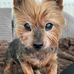 Claire Pennington - Facebook