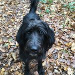 Claire Louise Pickering - @pickering173 - Instagram