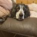 Claire Pickering - Facebook