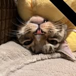 Claire Pitman - @clairep1974 - Instagram