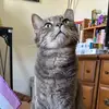claire - @claire.raines20 - TikTok