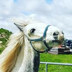 Claire Raines - @claire.raines.94801 - Instagram