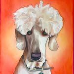 Claire Raymond - @palsfurever - Instagram