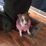 Claire Richard - @clairerich1999 - Instagram