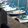 Claire Emma Turnbull Ricks - @claire.emma.turnb - TikTok