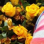 Claire Fredricks - @clairefredricks - Instagram