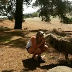 Claire Harricks - @claireharricks - Instagram