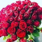 rousseau - @claire_rouseau - Instagram