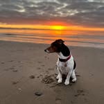Claire Booth (Rutter) - @beadalepeak - Instagram