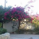 claire bernard saad - @sclairebernard - Instagram
