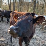 Claire Schaefer - @lafermedudetroit - Instagram