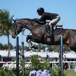 Claire Schaefer- Wellington Horse Shuttle - @claire_schaefer - Instagram