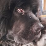 Claire Shepherd - @claireshepherd76 - Instagram
