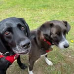 Claire Shepherd - @claireshepherd1961 - Instagram