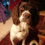 Claire Shepherd - @claire.shepherd.906638 - Instagram