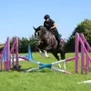 claireshepherd11 - @claireshepherd11 - TikTok