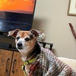 Claire Shields Davidson - @cbh328 - Instagram