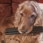 Claire Soper - Facebook