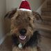 Claire Tyson - Facebook