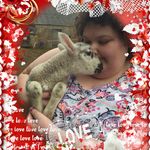Claire Upton - @claireandsophiehamster - Instagram