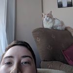 Claire Walter - @bearwaltz - Instagram