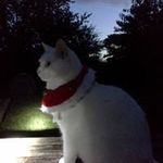 Claire Whitbread - @whitbreadclaire - Instagram