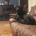 Clare Whitehead - Facebook