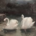 Claire Willson - Facebook