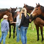 Claire Wright - @horsesensewa - Instagram
