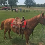 Clancy Davis - @clancy5779 - Instagram
