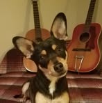 Clancy Davis - Facebook