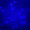 {🪼Sea_life_Lover🪼} - @clara_mallard.0 - TikTok