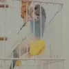 clara_.bird - @clara_.bird - TikTok