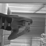 C L A R A 🤍 - @_claraboyd_ - Instagram