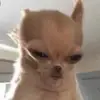 Helen Keller Hate Club - @clara.call - TikTok