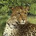 eduardo clara cepeda - Facebook