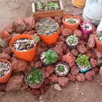 Clara Cervera - Facebook