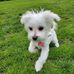 Clara Cheng - Facebook