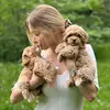 Clara Clifton - @clara.maltipoo - TikTok