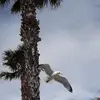 clara de marco - @claraaaa190507 - TikTok