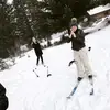 clara.dewitt - @clara.dewitt - TikTok