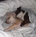 Clara Fleming - Facebook