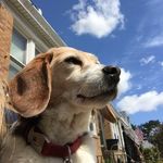 Clara Fleming - @cfleming.saul - Instagram