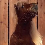 Clara Fleming - @i_was_board_so_im_here_now - Instagram