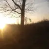Clara Garrison - @clara.garrison7 - TikTok